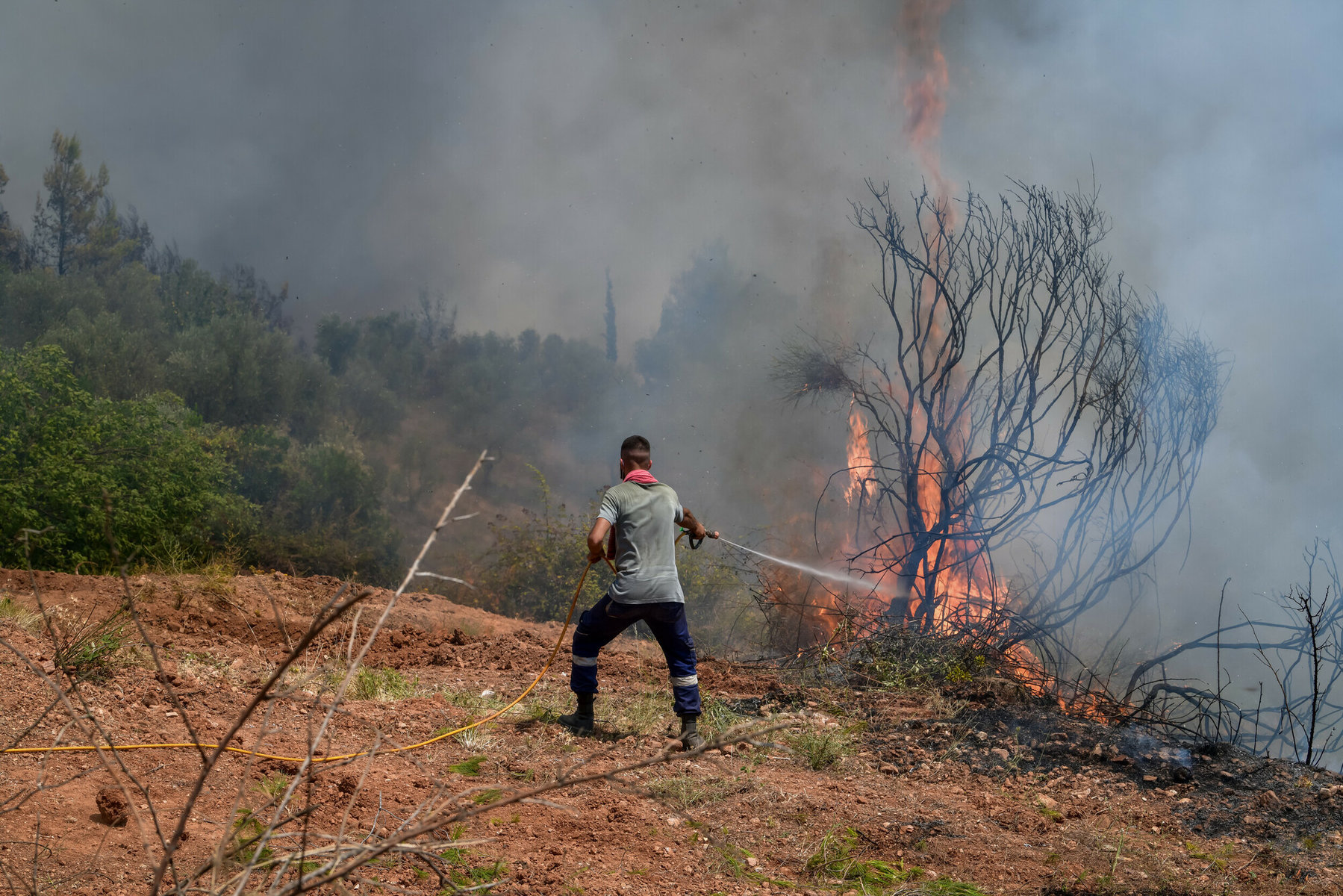 Φωτιές: 40 σπίτια και 15.000 στρέμματα έχουν καεί στο Λουτράκι – Εργοστάσιο με διαλύτες κάηκε στα Μέγαρα – 428 ζώα συντροφιάς είναι ασφαλή στο ΛΑΤΟ