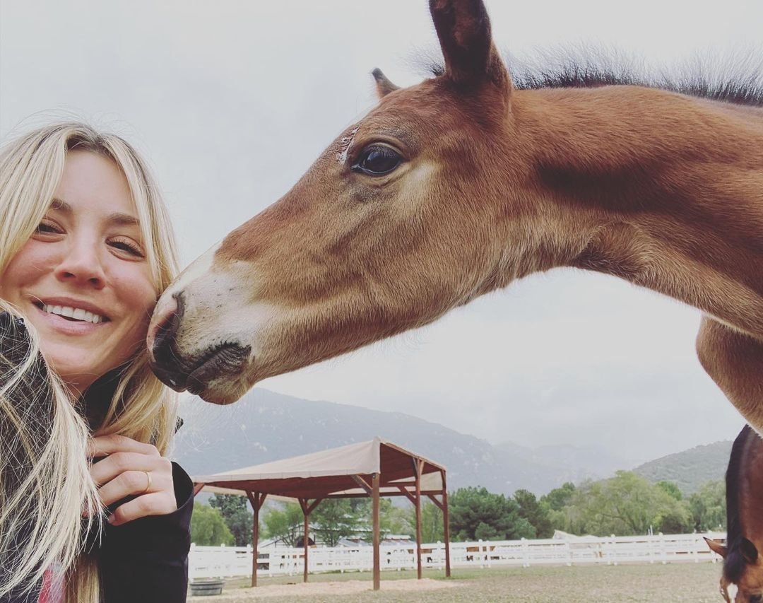 Kaley Cuoco: Προσφέρεται να αγοράσει το άλογο που χτυπήθηκε στους Ολυμπιακούς Αγώνες από προπονήτρια