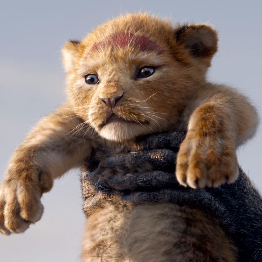Lion King: O Μουφάσα δικαιώνεται – Έρχεται prequel αφιερωμένο στη ζωή του