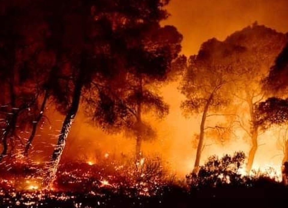 Μεσσηνία – Αρκαδία: Τέσσερις οι εστίες της φωτιάς – Στις φλόγες το χωριό Ίσαρη