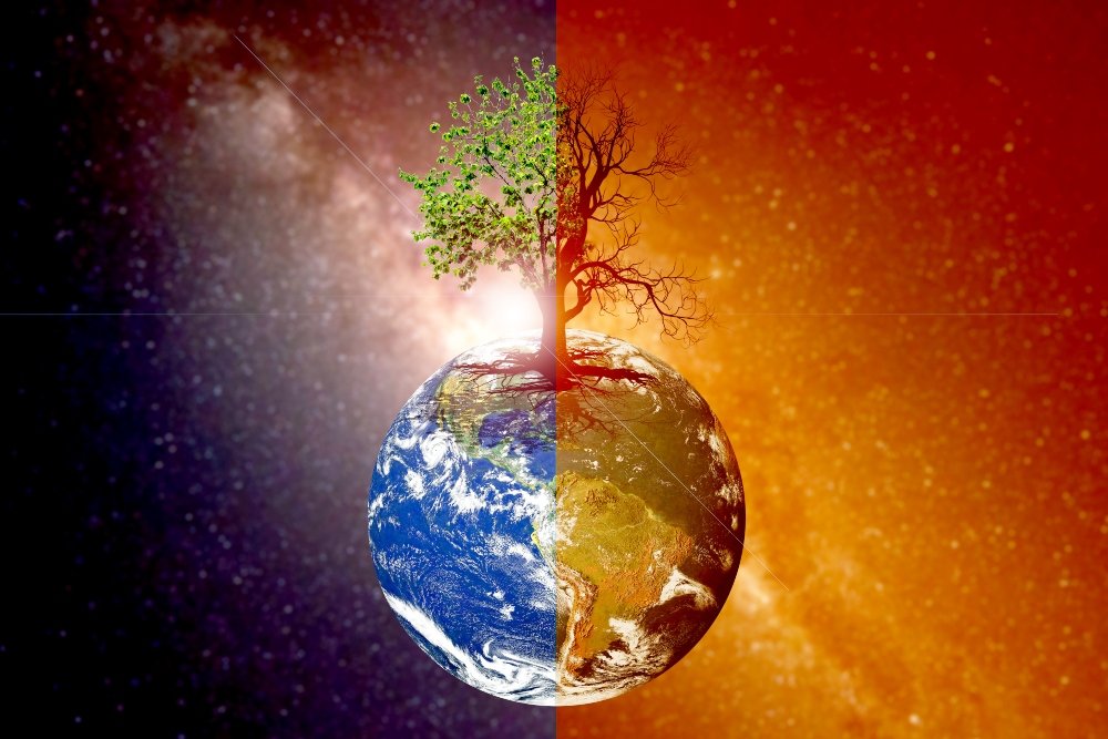 Κορυφαίοι επιχειρηματίες προειδοποιούν για ένα «νεκρό πλανήτη» – «Σταματήστε την καταστροφή της φύσης»