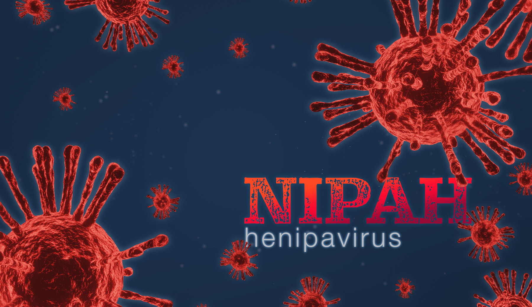Nipah: Ο ιός της επόμενης πανδημίας έχει ποσοστό θνησιμότητας πάνω από 40%