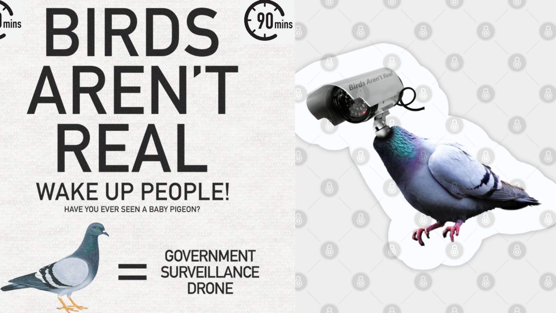 Birds Aren’t Real: Ένα πειραματικό κίνημα συνωμοσιολόγων στις ΗΠΑ υποστηρίζει ότι τα πουλιά είναι drones