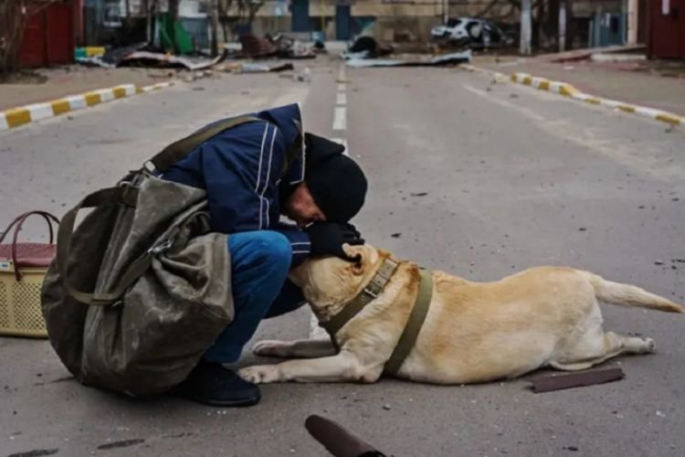 Πόλεμος στην Ουκρανία: Άντρας αγκαλιάζει τον σκύλο του που έχει παραλύσει από τους βομβαρδισμούς