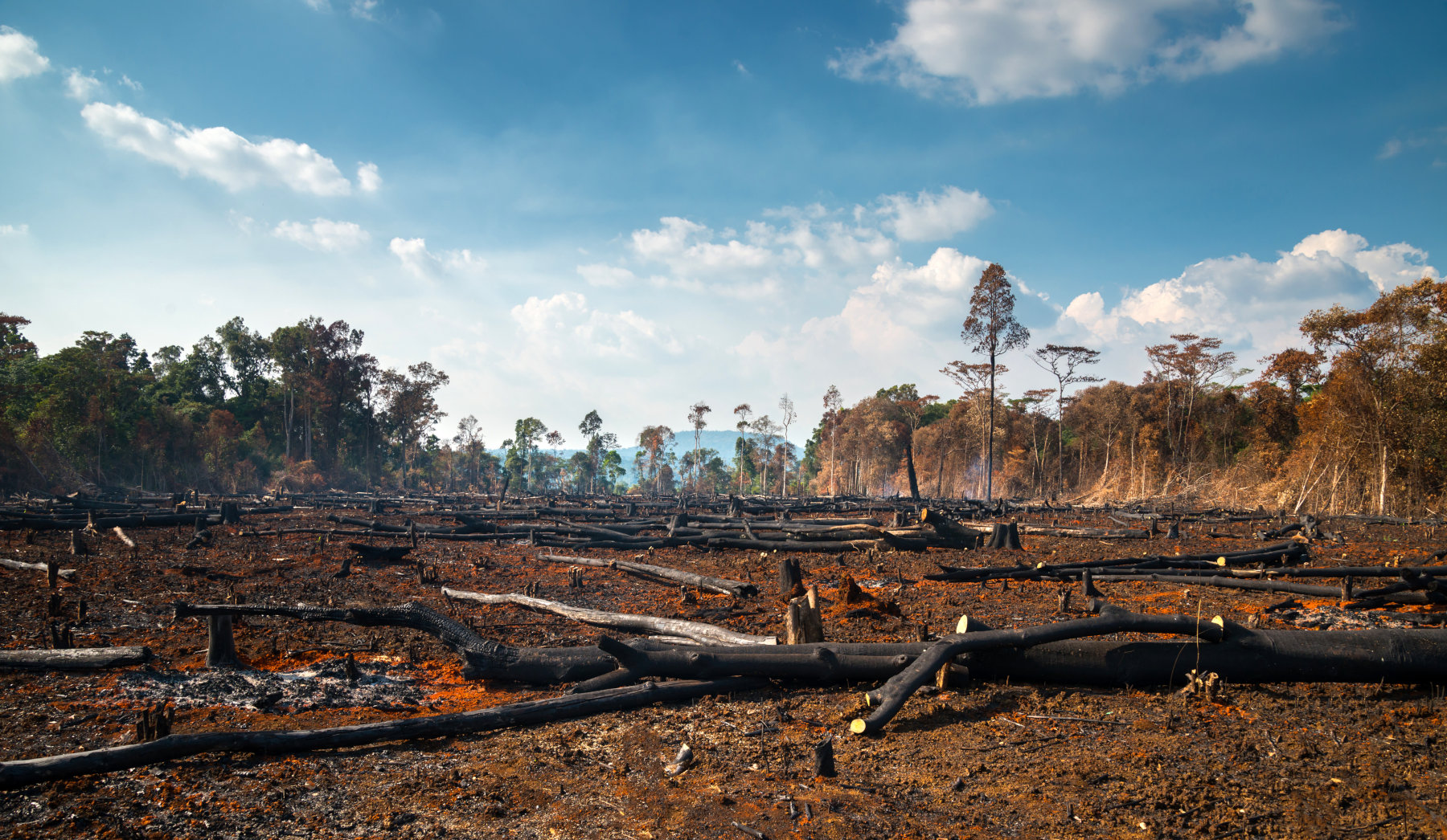 Αμαζόνιος: Το 2021 ήταν ένα καταστροφικό έτος – Αναπόφευκτη η υπερθέρμανση κατά 2 βαθμούς Κελσίου αν συνεχίσει έτσι