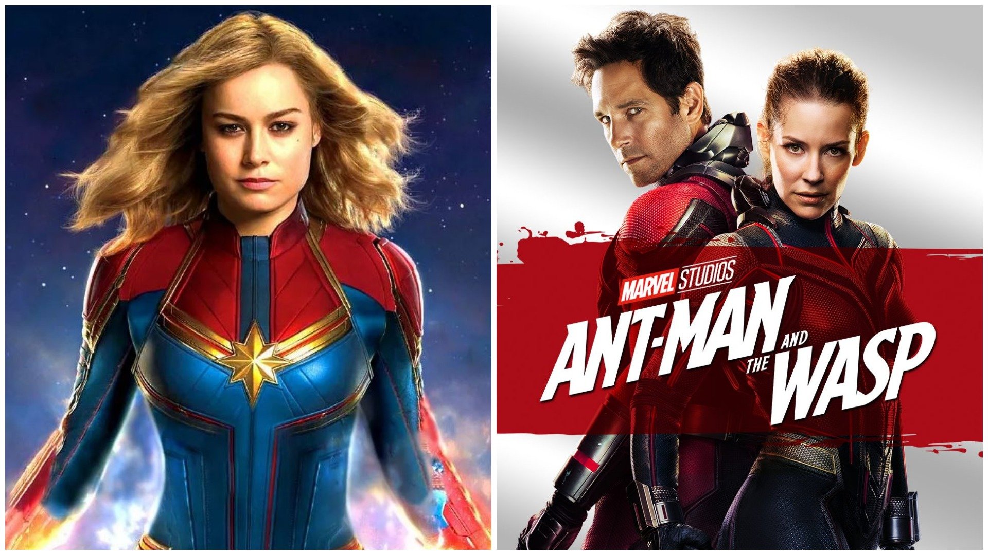 Marvel: «Τράμπα» στις κυκλοφορίες των The Marvels και Ant-man & The Wasp: Quantumania – Ποιος ο λόγος;