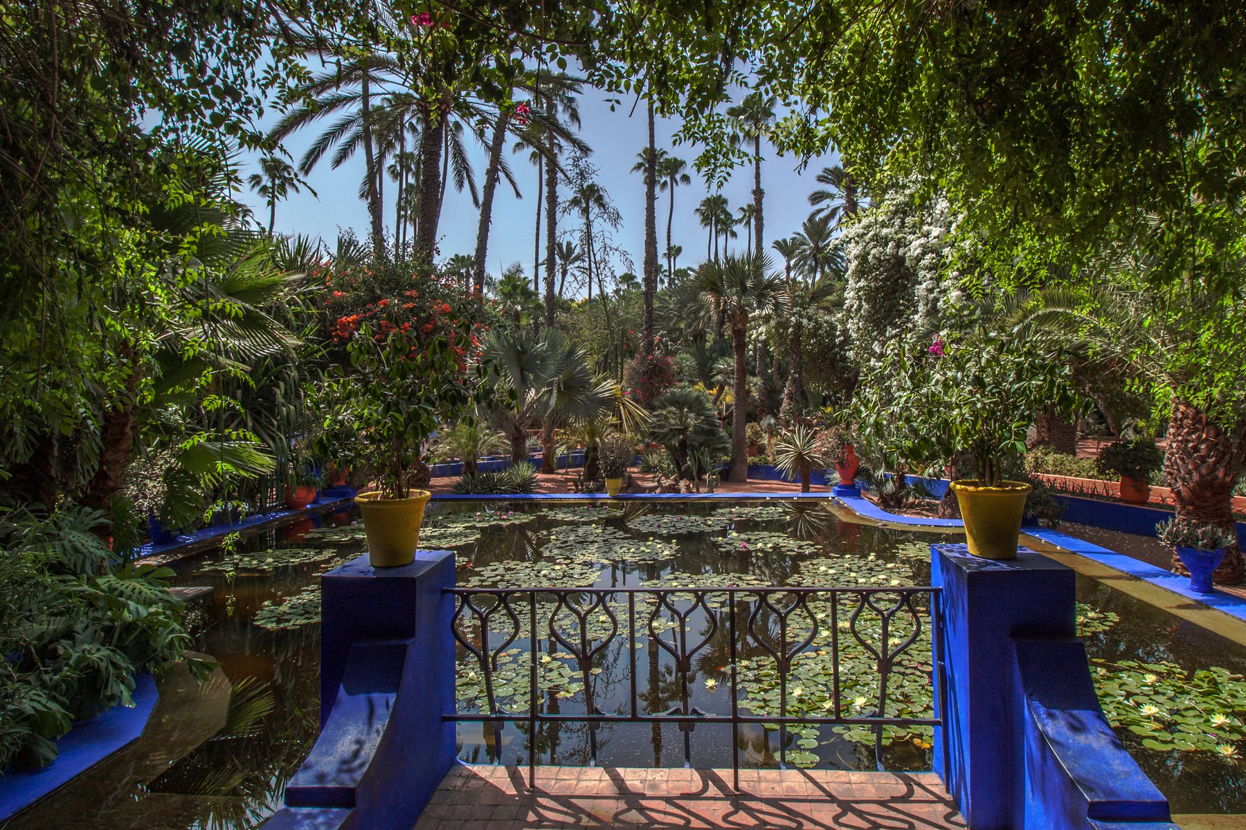 Majorelle