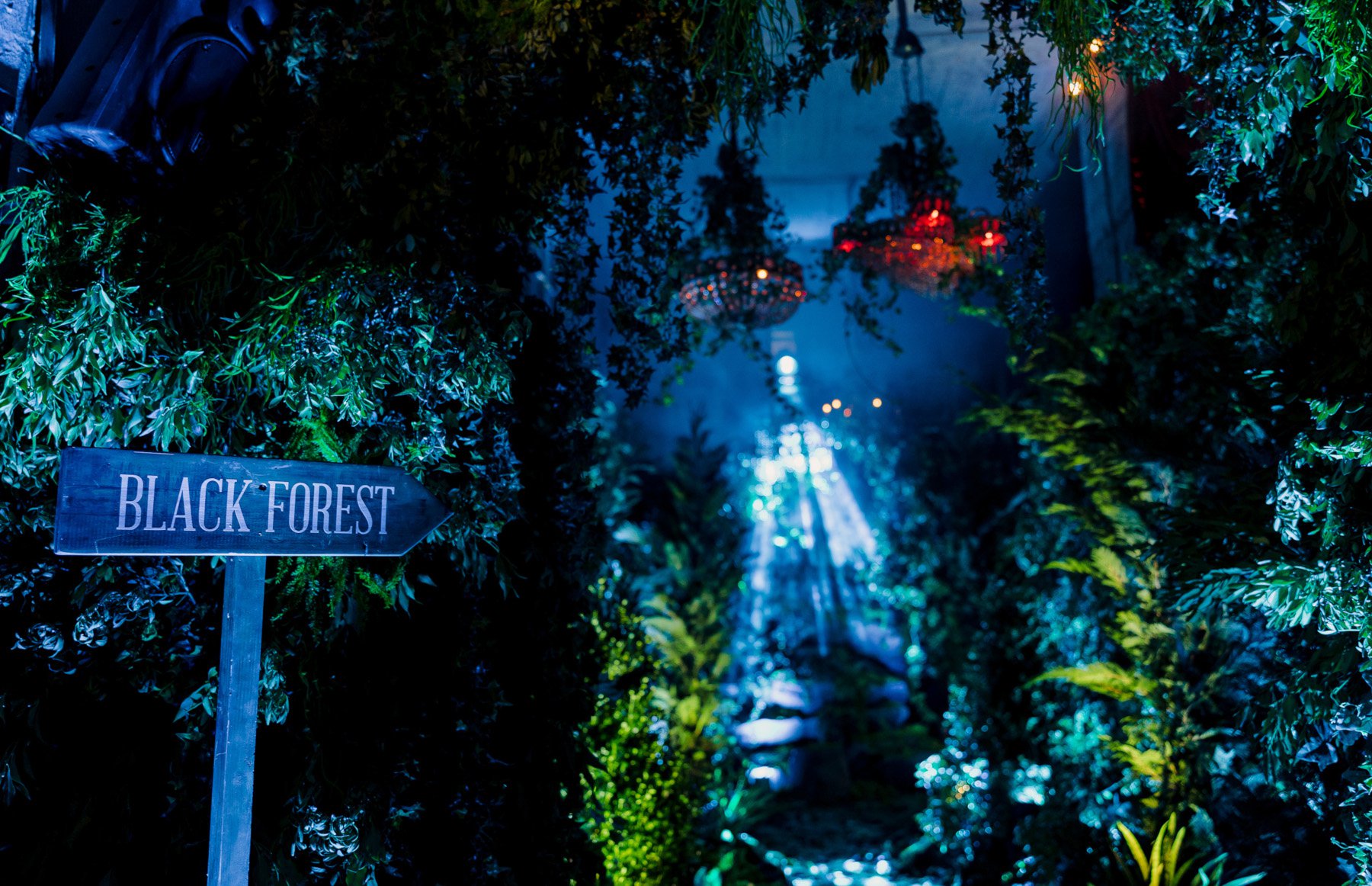 ΜΟΝΚΕΥ 47: Μια νύχτα στο δάσος του Μέλανα Δρυμού με την υπογραφή του πιο ξεχωριστού super premium gin