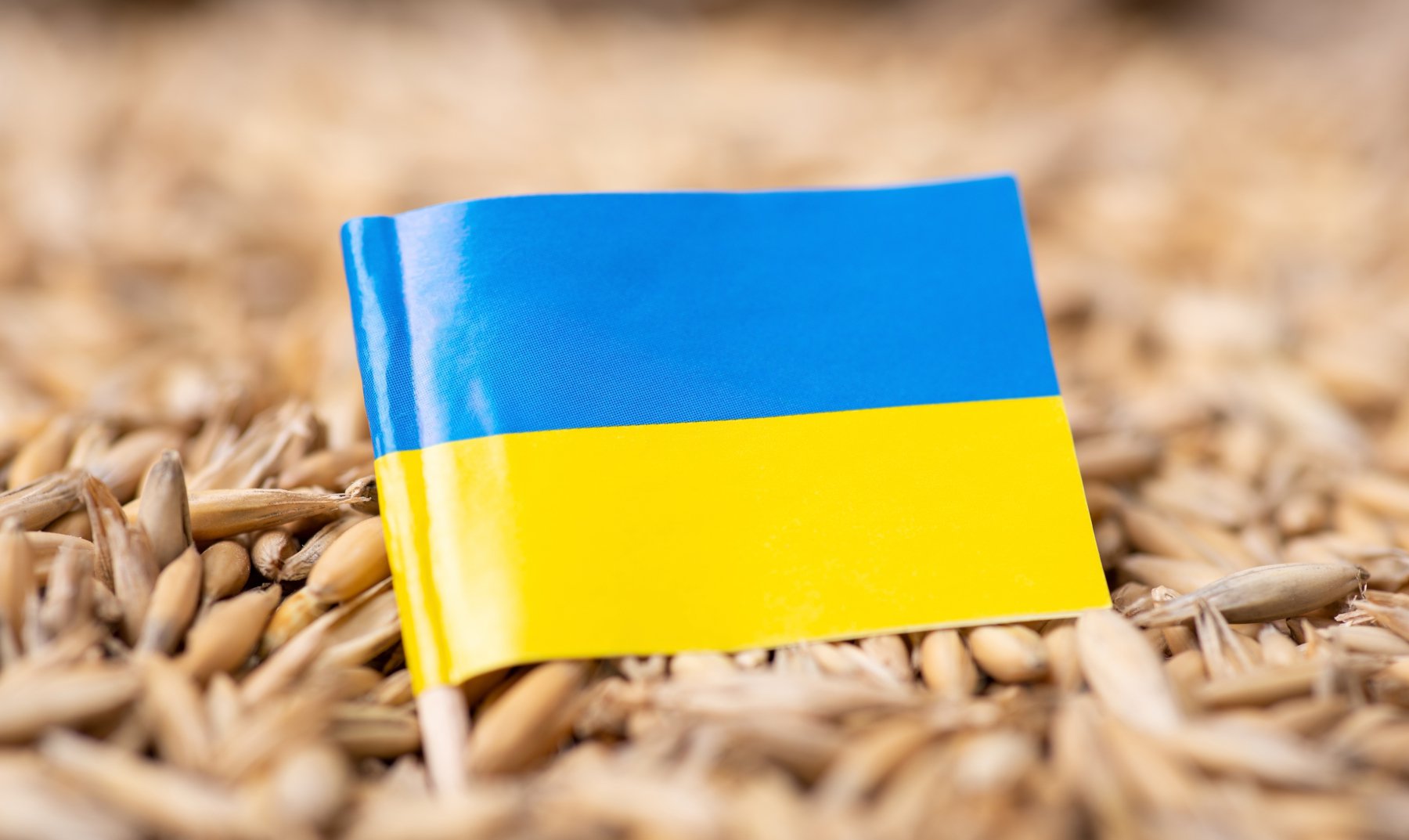 Επίθεση στην Οδησσό: Στα σκουπίδια η συμφωνία Ρωσίας-Ουκρανίας για την απελευθέρωση των σιτηρών