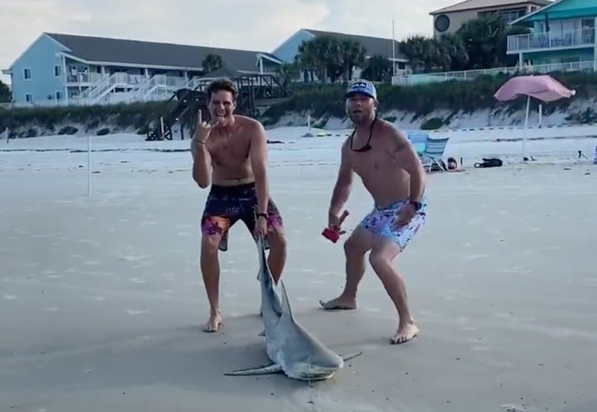 Δύο άνδρες σκοτώνουν με μαχαίρι έναν καρχαρία στη Φλόριντα, αλλά η νομοθεσία δεν το βρίσκει παράνομο