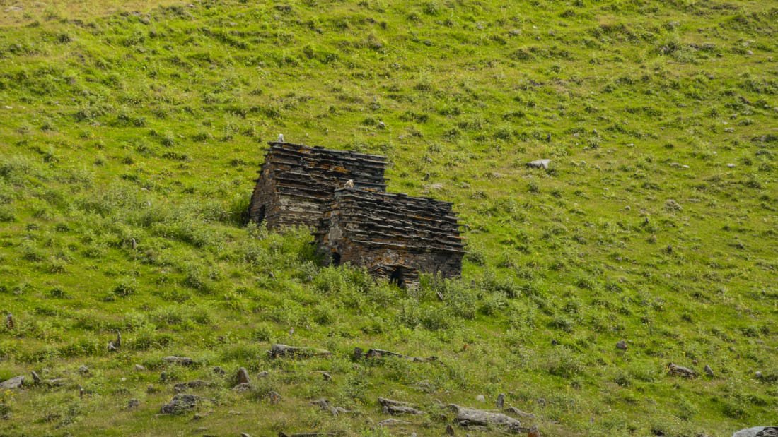 Tusheti