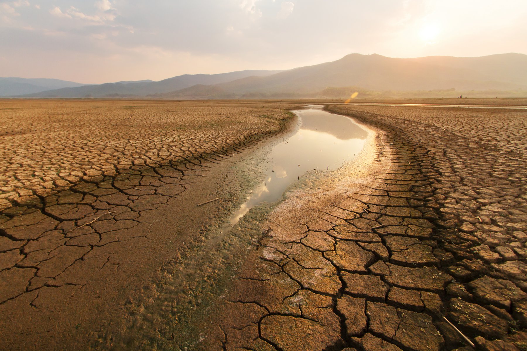 Το βόρειο ημισφαίριο βιώνει μια από τις πιο ακραίες ξηρασίες: Η ανθρώπινη παρέμβαση είναι η αιτία