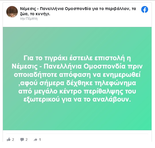 τιγράκι