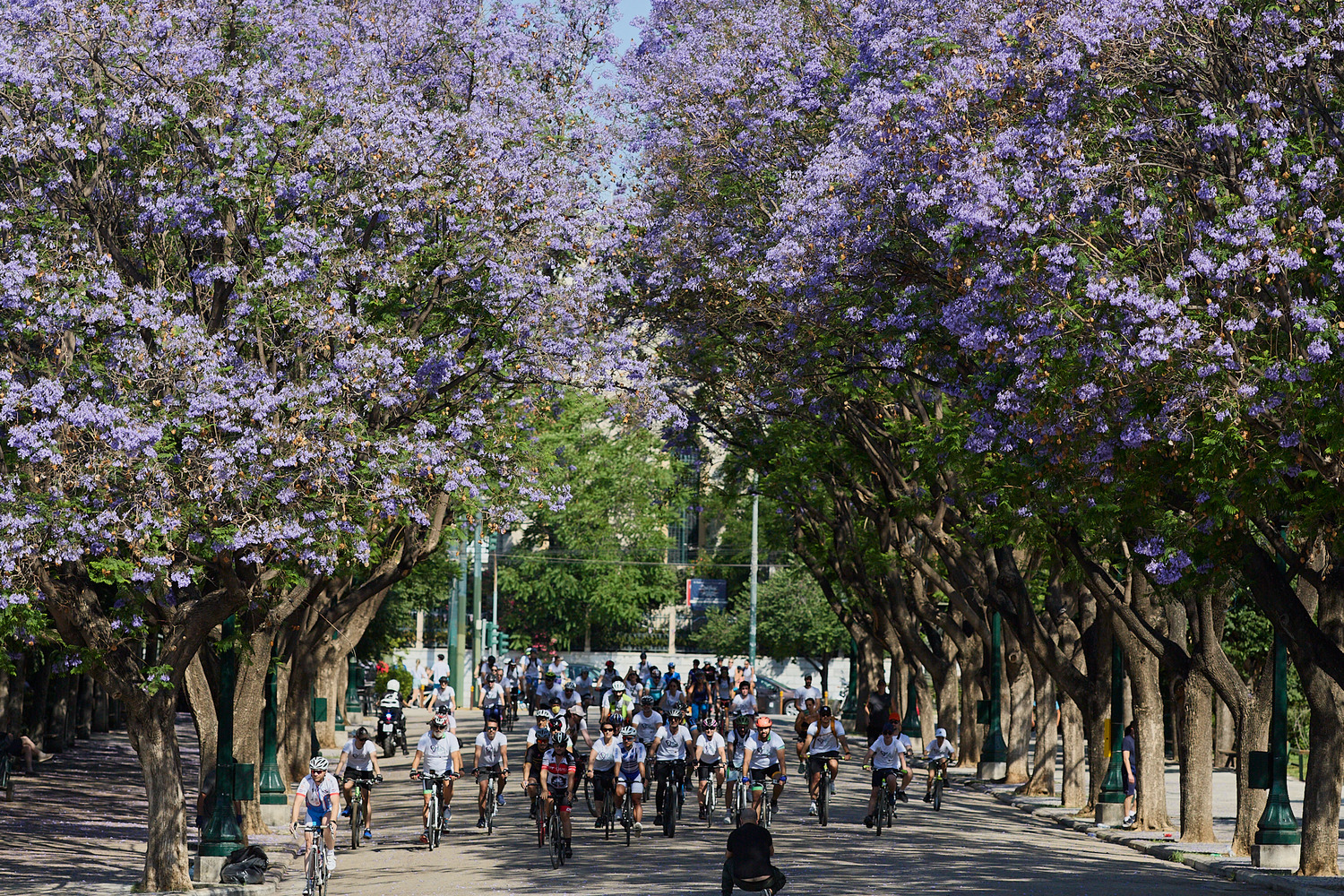 Run – Bike – Care: Το Ζάππειο γίνεται ποδηλατόδρομος