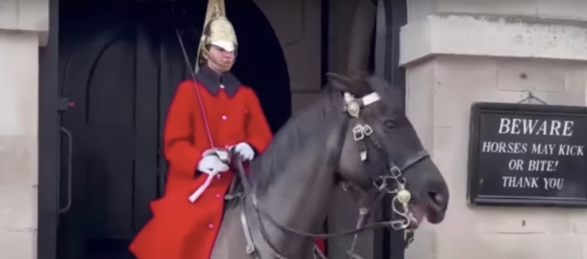 Δεν τα βάζεις μαζί του: Άλογο της βασιλικής φρουράς δάγκωσε ανυποψίαστη τουρίστρια