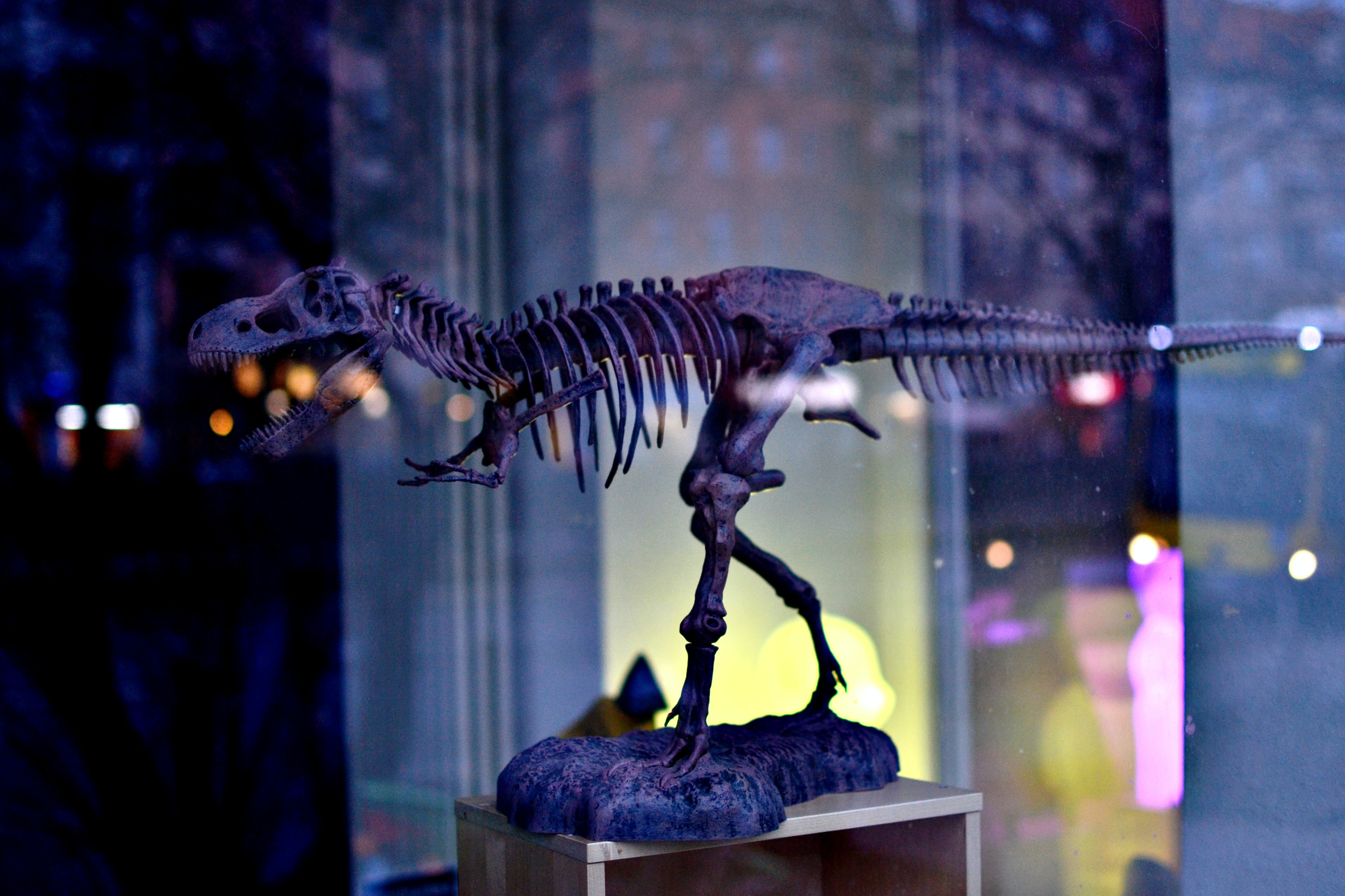 Σκελετός Τυραννόσαυρου Ρεξ πουλήθηκε 5,6 εκατ. σε δημοπρασία