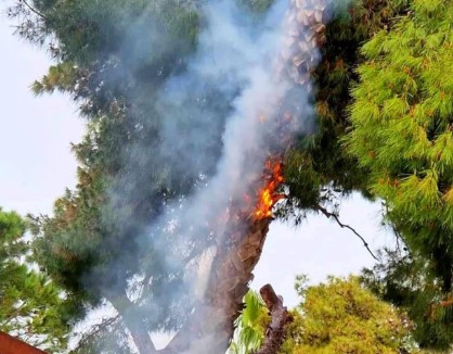 Μαρούσι: Έπεσε κεραυνός και πήρε φωτιά δέντρο πάνω από καφετέρια