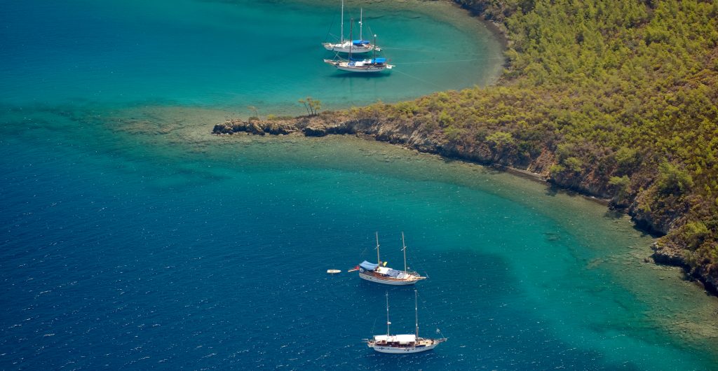 Ένας Τούρκος έβαλε στόχο ζωής να σώσει τη θαλάσσια ζωή στο Αιγαίο