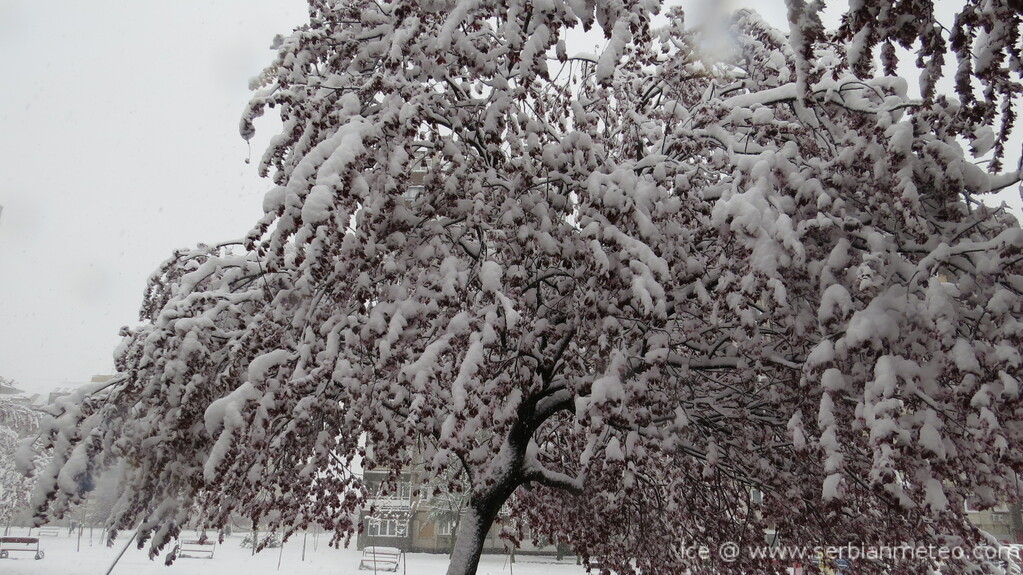 Στα «λευκά» η Σερβία – Ρεκόρ χιονοπτώσεων για τον Απρίλιο