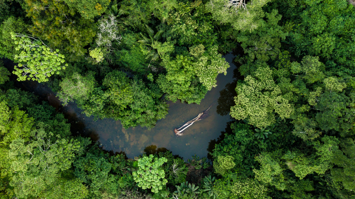 Βραζιλία: Ρεκόρ ξηρασίας σε λιμάνι του Αμαζονίου εδώ και 120 χρόνια