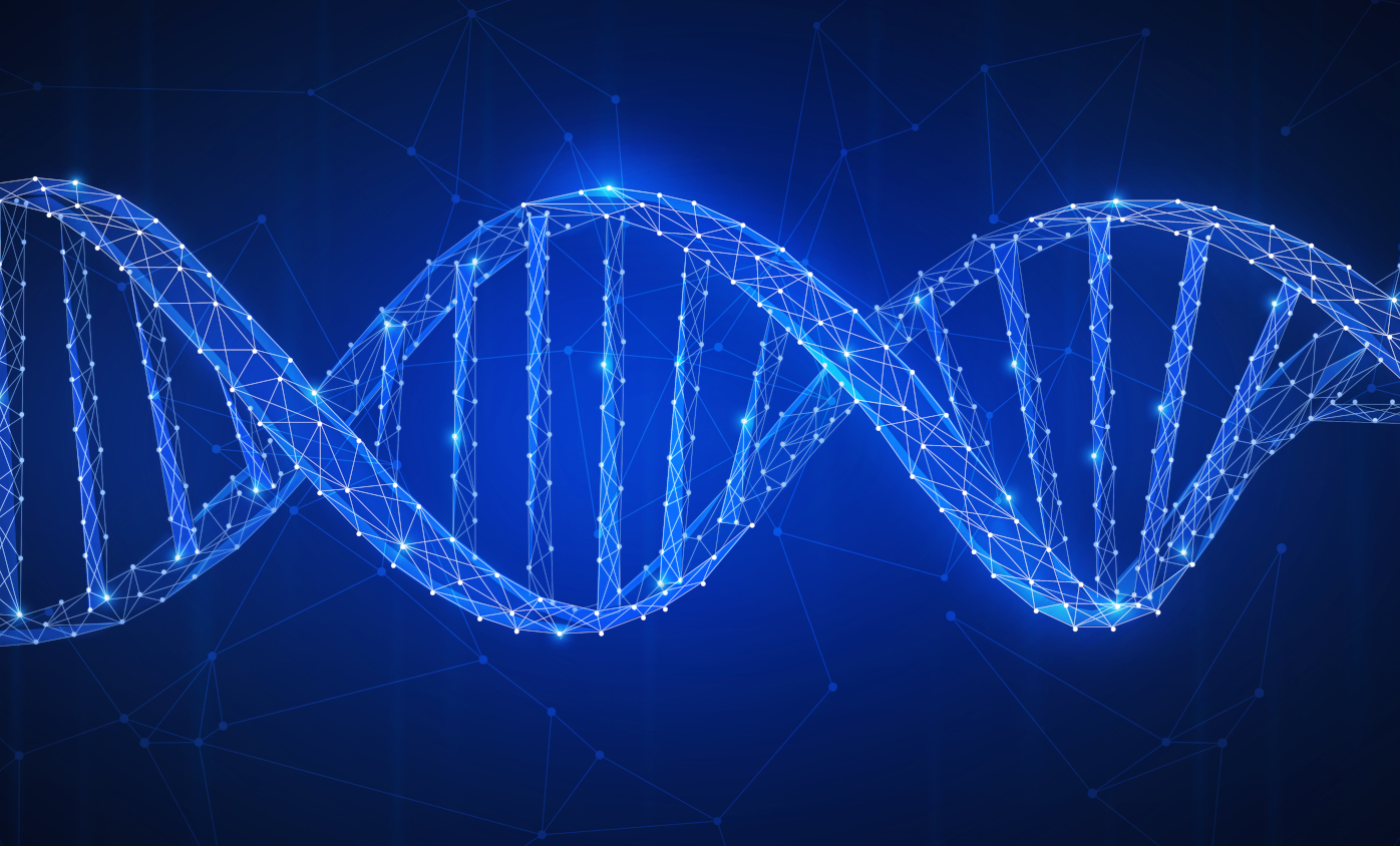 DNA άνθρωπος έρευνα