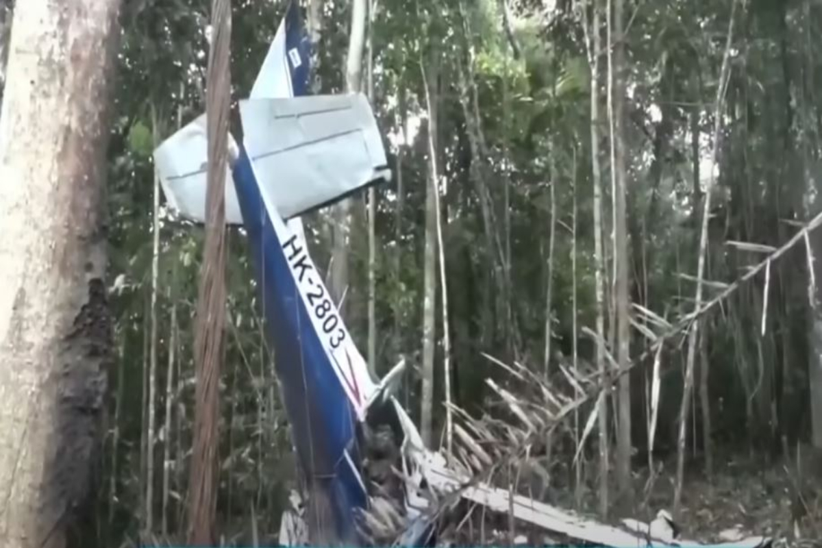 Έβαλαν ειδικό σκύλο να ψάξει τα αγνοούμενα παιδιά στην Κολομβία και χάθηκε και αυτός