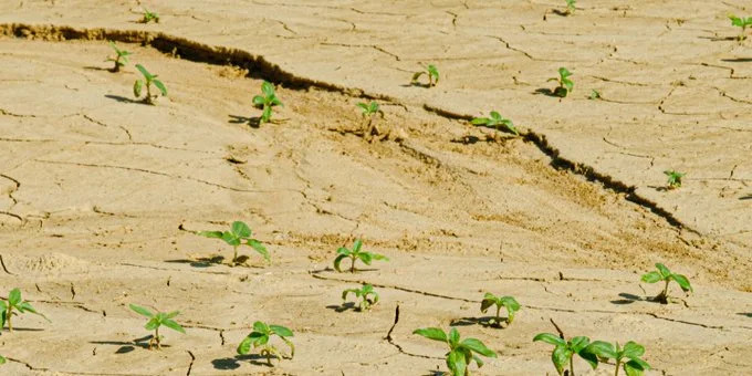 Ξηρασία: Στο έλεος της κλιματικής κρίσης και ο βρετανικός νότος