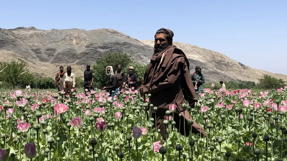 Αφγανιστάν: Ο πόλεμος του οπίου και οι «καλοί» Ταλιμπάν