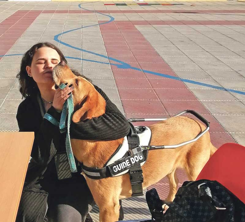 οπτική αναπηρία