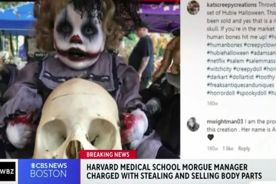 Καλλιτέχνιδα αγόρασε ανθρώπινο κρανίο από τον διευθυντή του Χάρβαρντ και το πούλησε στο Instagram ως κούκλα