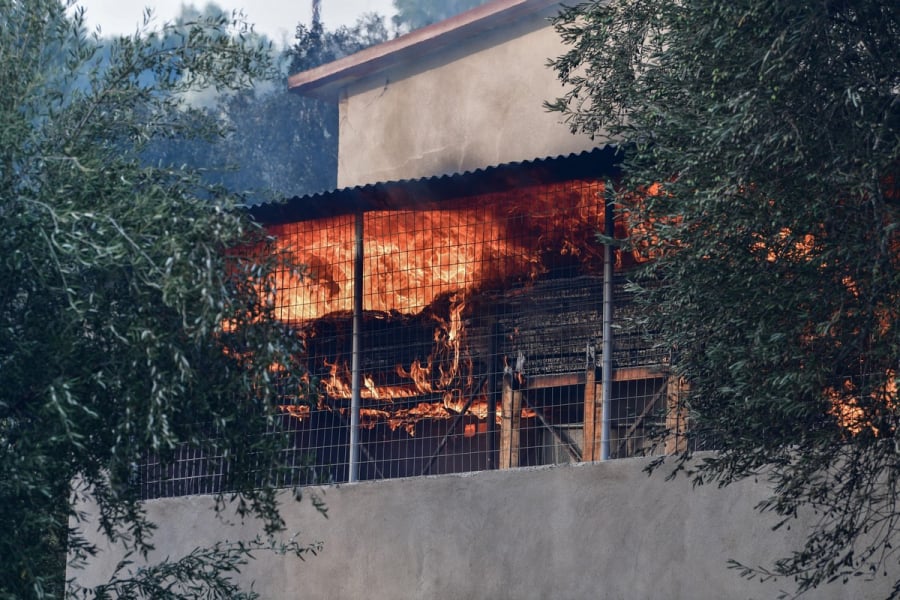 Σε εξέλιξη οι αυτοψίες και οι καταγραφές των ζημιών από τις πυρκαγιές – Άμεσα η πρώτη κρατική αρωγή