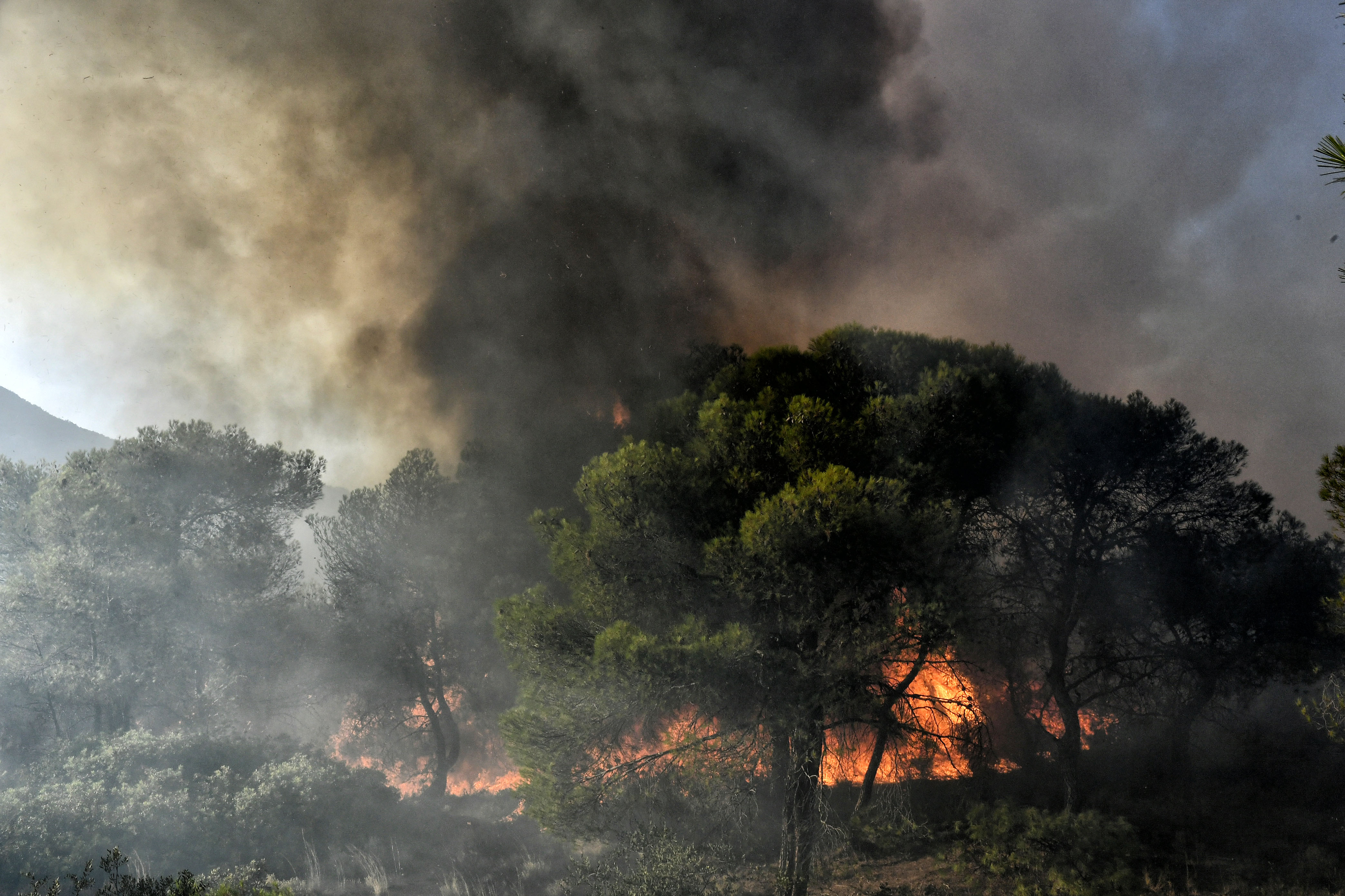 Στοιχεία-σοκ για τις πυρκαγιές – Στάχτη 10,5 εκατ. στρέμματα από το 2000!