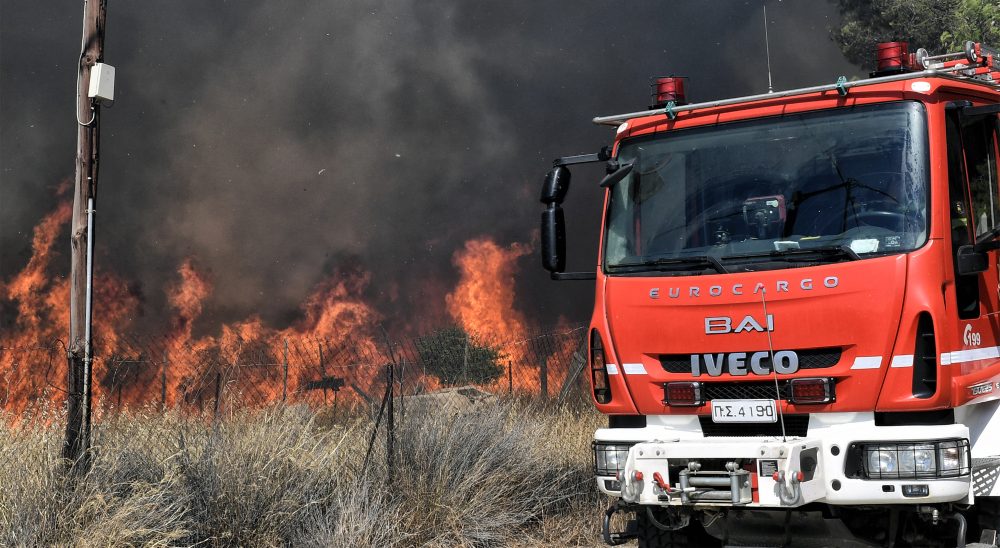 Φωτιά στο Λαγονήσι: Κάηκε το καταφύγιο ζώων Fazoo Farm – «Καήκαμε τέλος…»