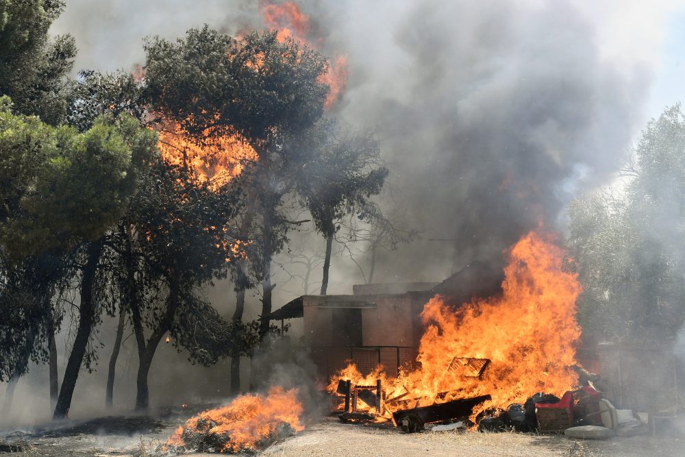 Λουτράκι: Αναζωπύρωση στην περιοχή Αγ. Χαραλάμπους Καλαμακίου