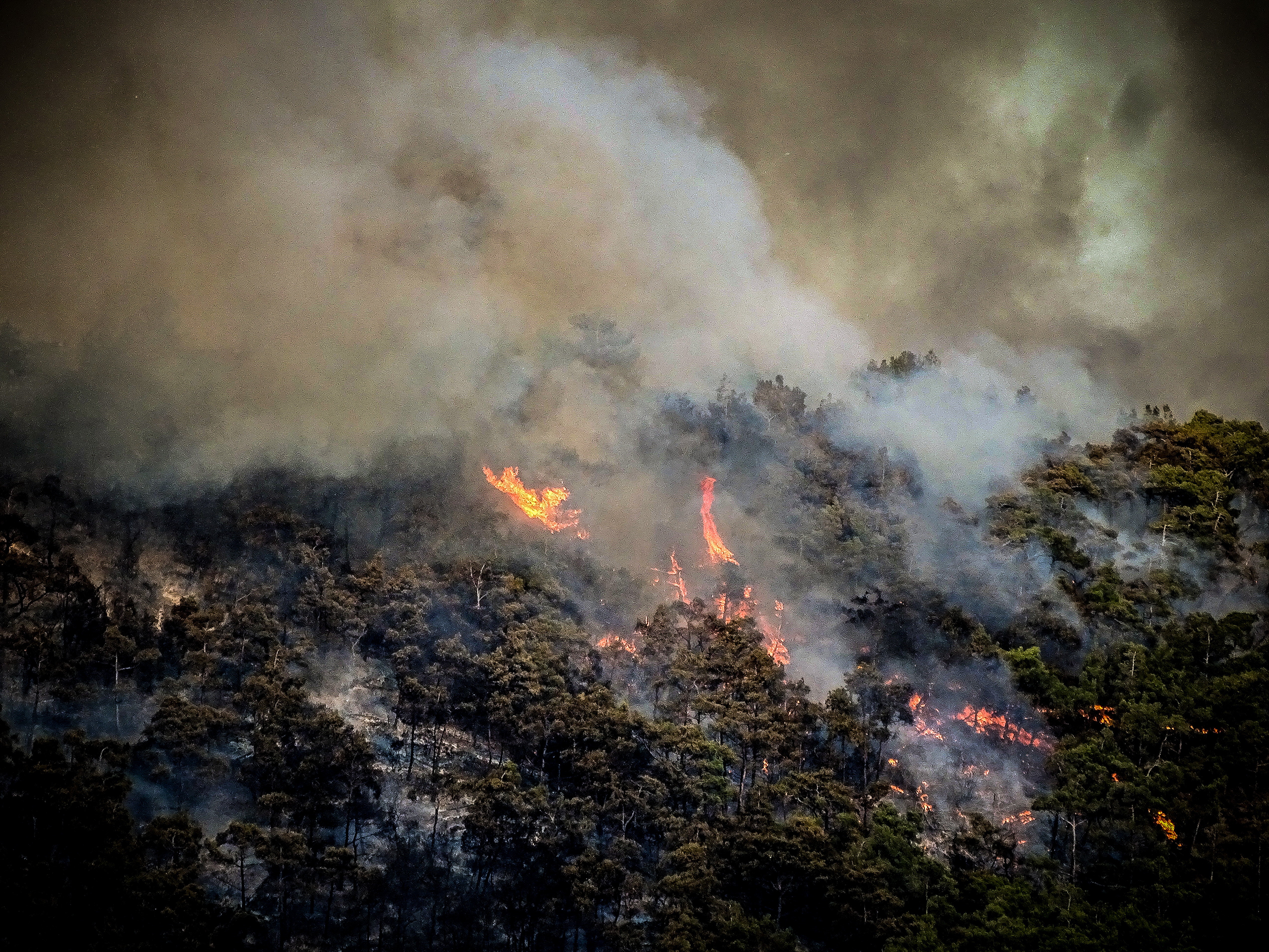 Ρόδος: Νύχτα τρόμου στα πεδία της φωτιάς - Στη μάχη και το ελικόπτερο Μi 26 από την Ιορδανία Ρόδος