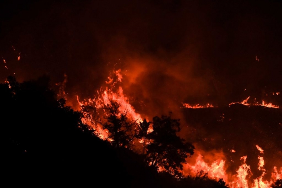Εισαγγελική έρευνα για τις φωτιές στη Μαγνησία και υπόνοιες για οργανωμένο σχέδιο εμπρησμών