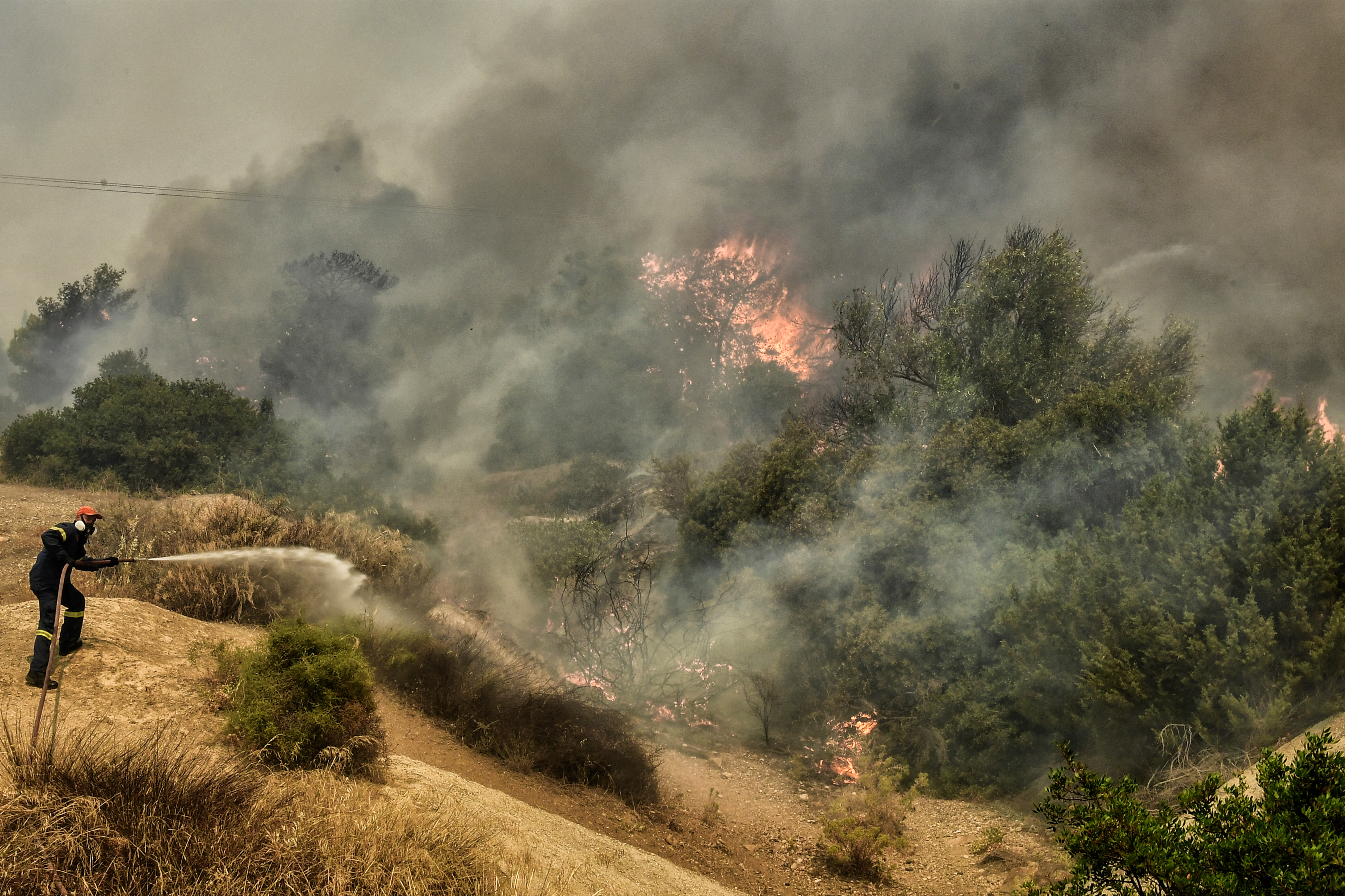 Σε δύο μέτωπα η φωτιά που καίει παρθένο δάσος στη Ρόδο – Ένας τραυματίας