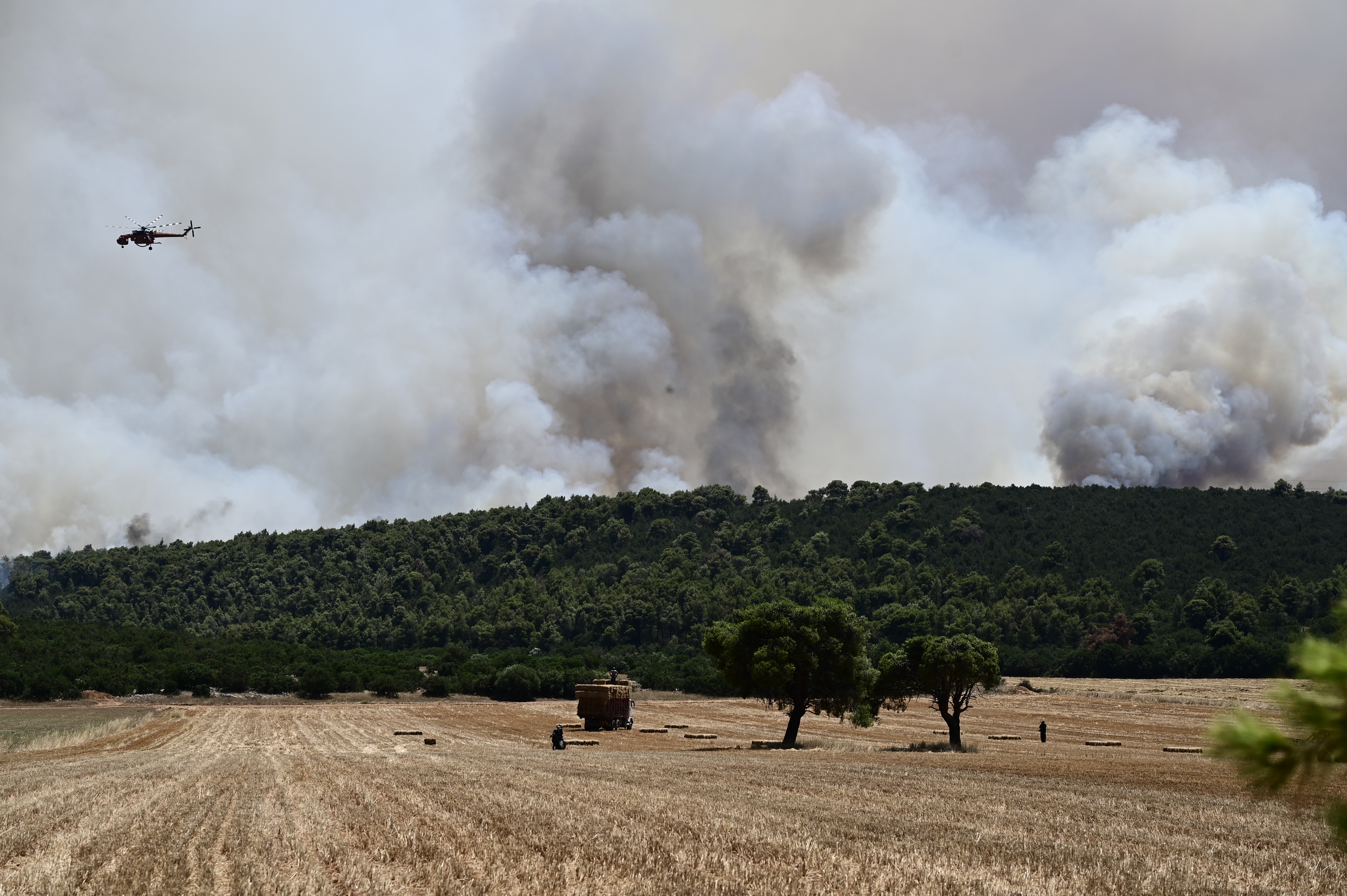 Ανυπολόγιστη καταστροφή στη Ρόδο: Πόσα στρέμματα «καθαρής» δασικής έκτασης κάηκαν