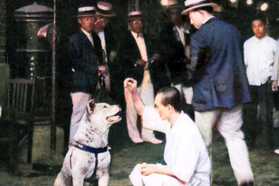 Εκατό χρόνια Χάτσικο – Η ιστορία του πιστού σκύλου που διδάσκεται στα ιαπωνικά σχολεία ως παράδειγμα αφοσίωσης