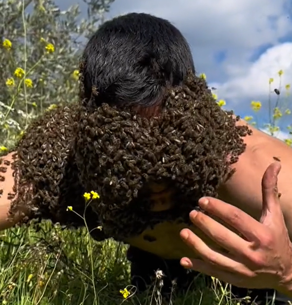 Αγρίνιο: Viral ο μελισσοκόμος με τις χιλιάδες μέλισσες στο κορμί και το πρόσωπό του
