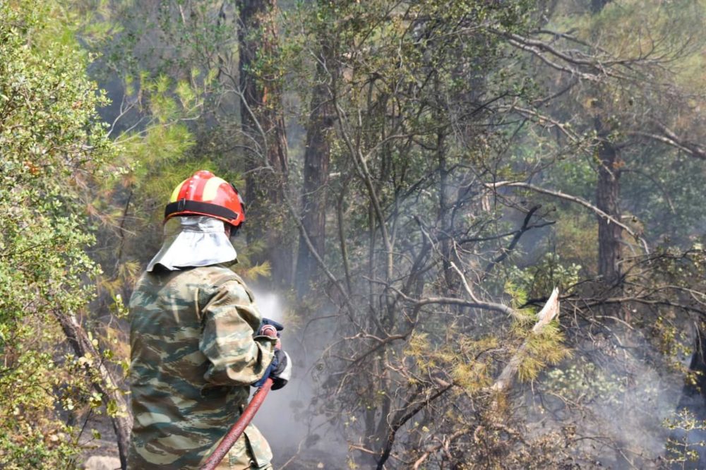 Για 12η μέρα καίγεται το δάσος της Δαδιάς – Μάχη με τις αναζωπυρώσεις