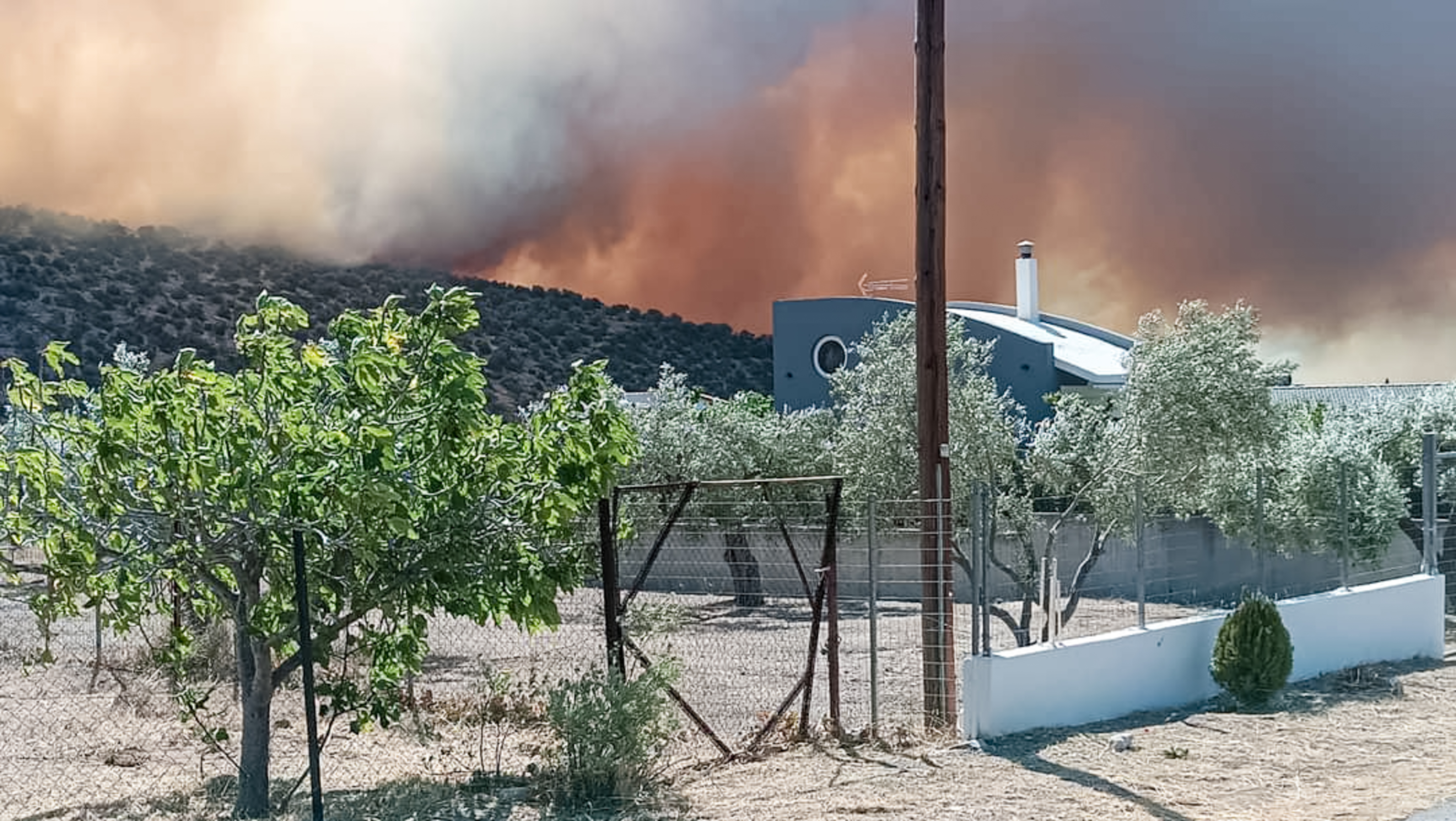 Πρόδρομος Βοιωτίας: Αδιάκοπη μάχη με τις φλόγες όσο μαίνονται άνεμοι άνω των 8 μποφόρ (pics) Πρόδρομος Βοιωτίας