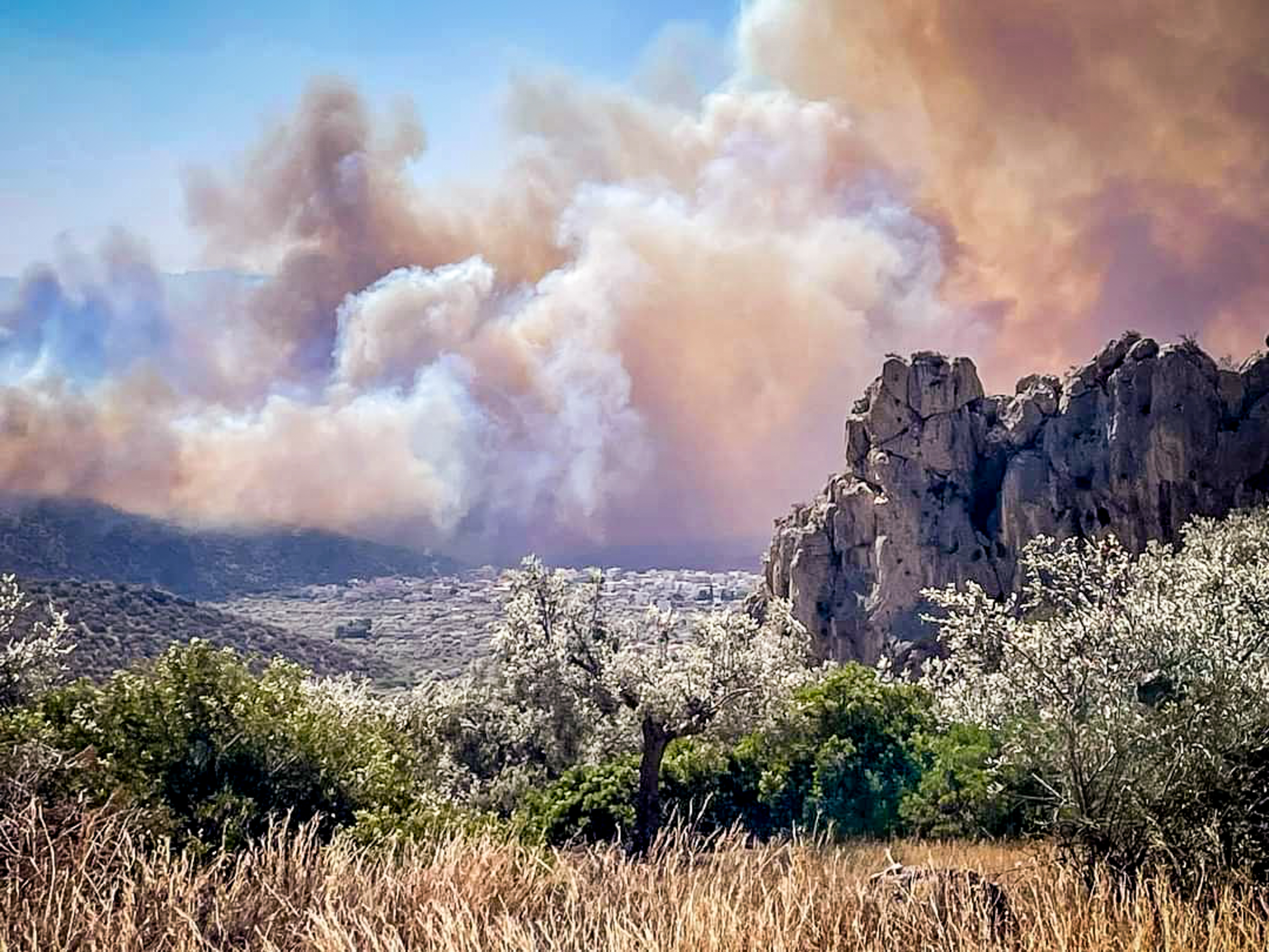 Πρόδρομος Βοιωτίας: Αδιάκοπη μάχη με τις φλόγες όσο μαίνονται άνεμοι άνω των 8 μποφόρ (pics)