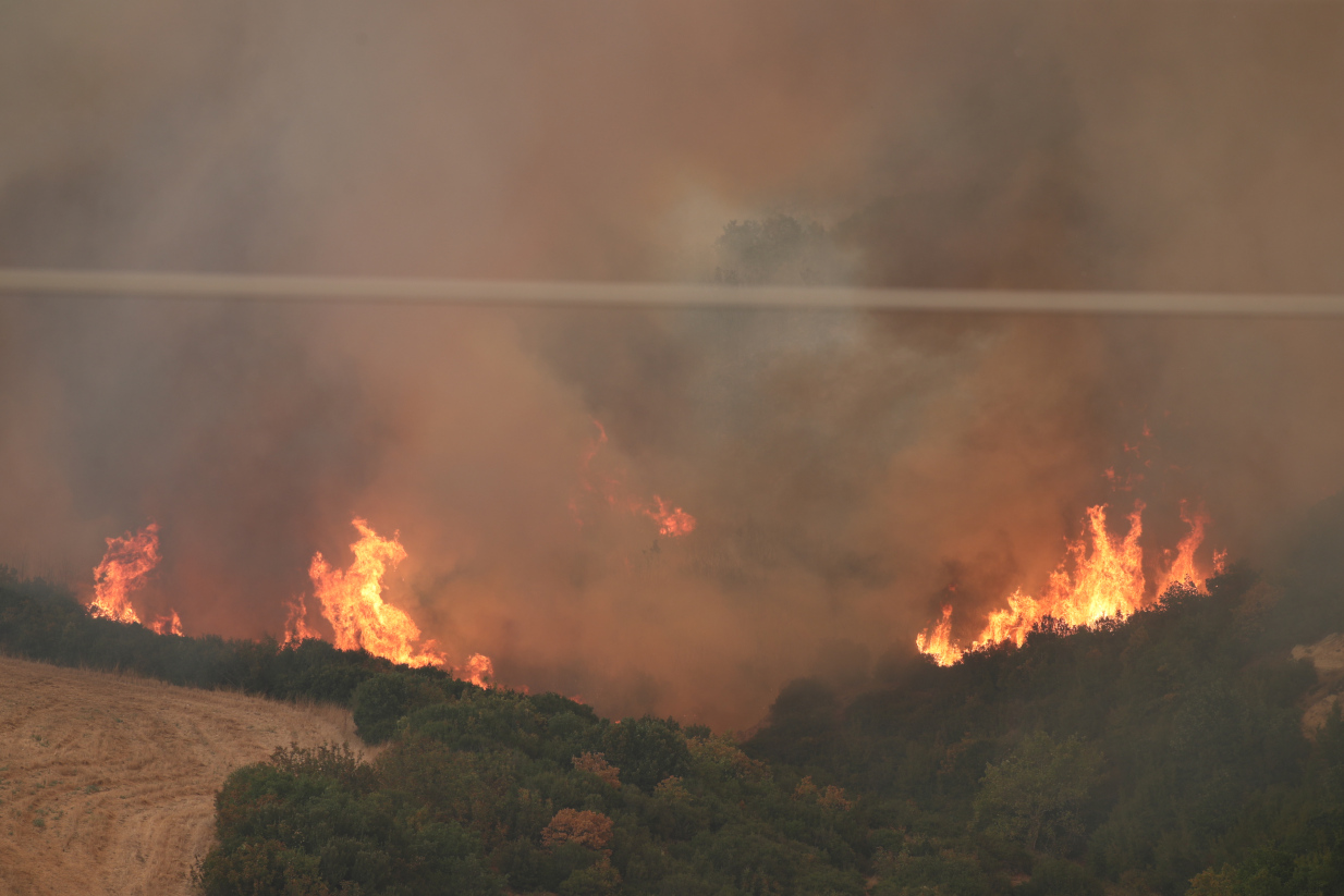 1.2 εκατομμύρια στρέμματα κάηκαν φέτος το καλοκαίρι: Καταστροφή που «ισοφαρίζει» αυτή του 2021