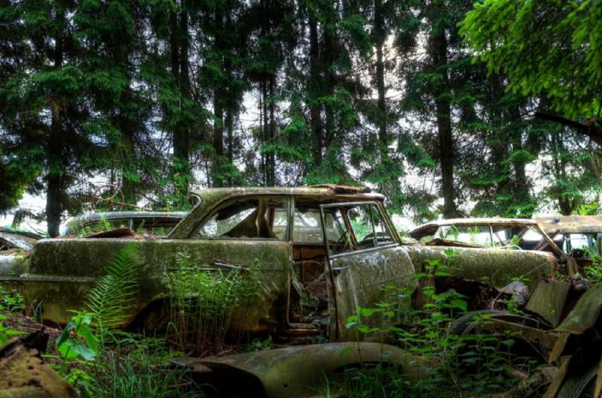 Βέλγιο: Ένα μυστήριο που παράμεινε άλυτο μέχρι σήμερα – Τα «στοιχειωμένα» αυτοκίνητα του δάσους του Châtillon