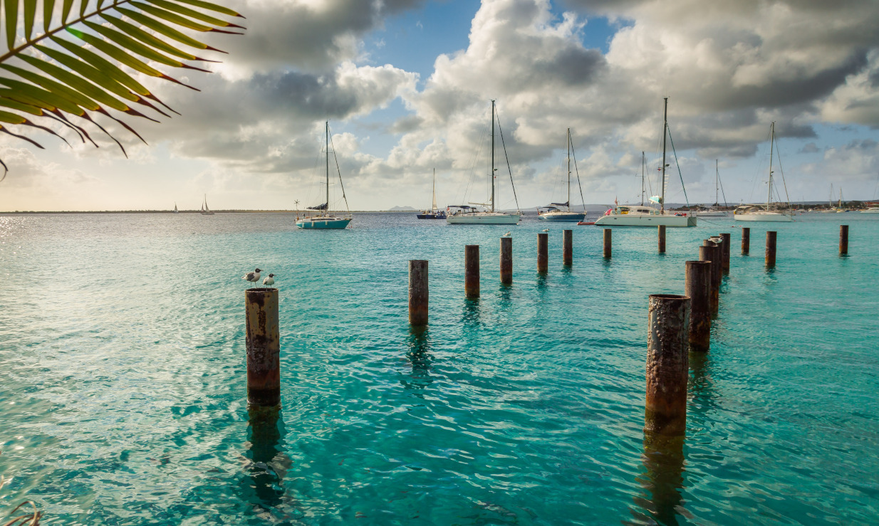 Bonaire νησί Βενεζουέλα