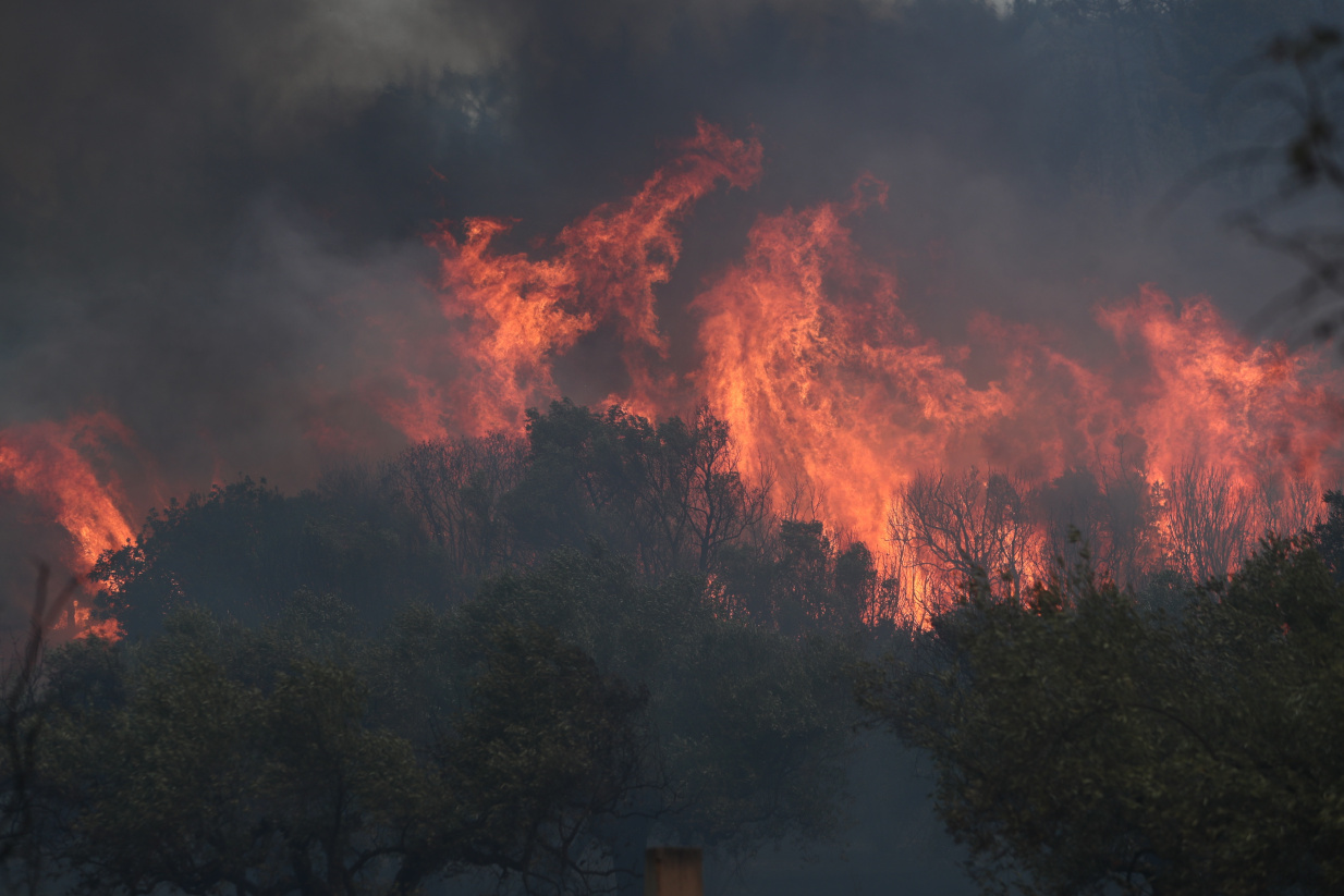 Κόμπος στο στομάχι και σφίξιμο στην καρδιά: Εικόνες απόλυτης καταστροφής από τις φωτιές στον Έβρο (pics)