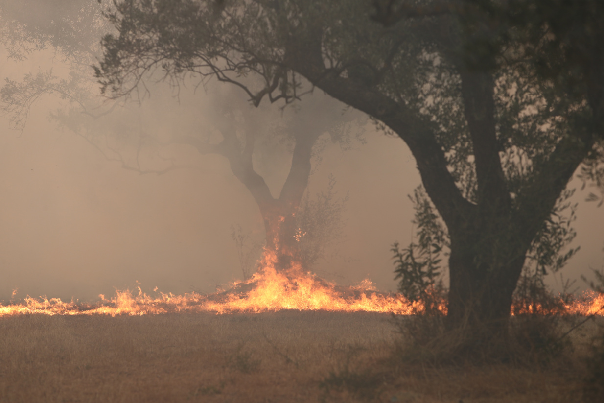 Συνεχίζεται η μάχη με τις φλόγες σε Έβρο, Φάρσαλα και Πάρνηθα
