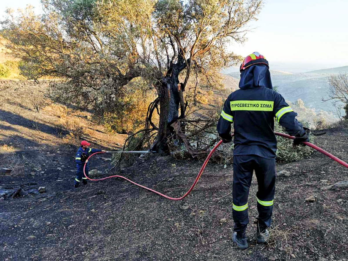 Στις φυλακές Αυλώνα ο 20χρονος που ομολόγησε εμπρησμούς στην Κάρυστο – «Μου άρεσε να βλέπω να πυροσβεστικά»