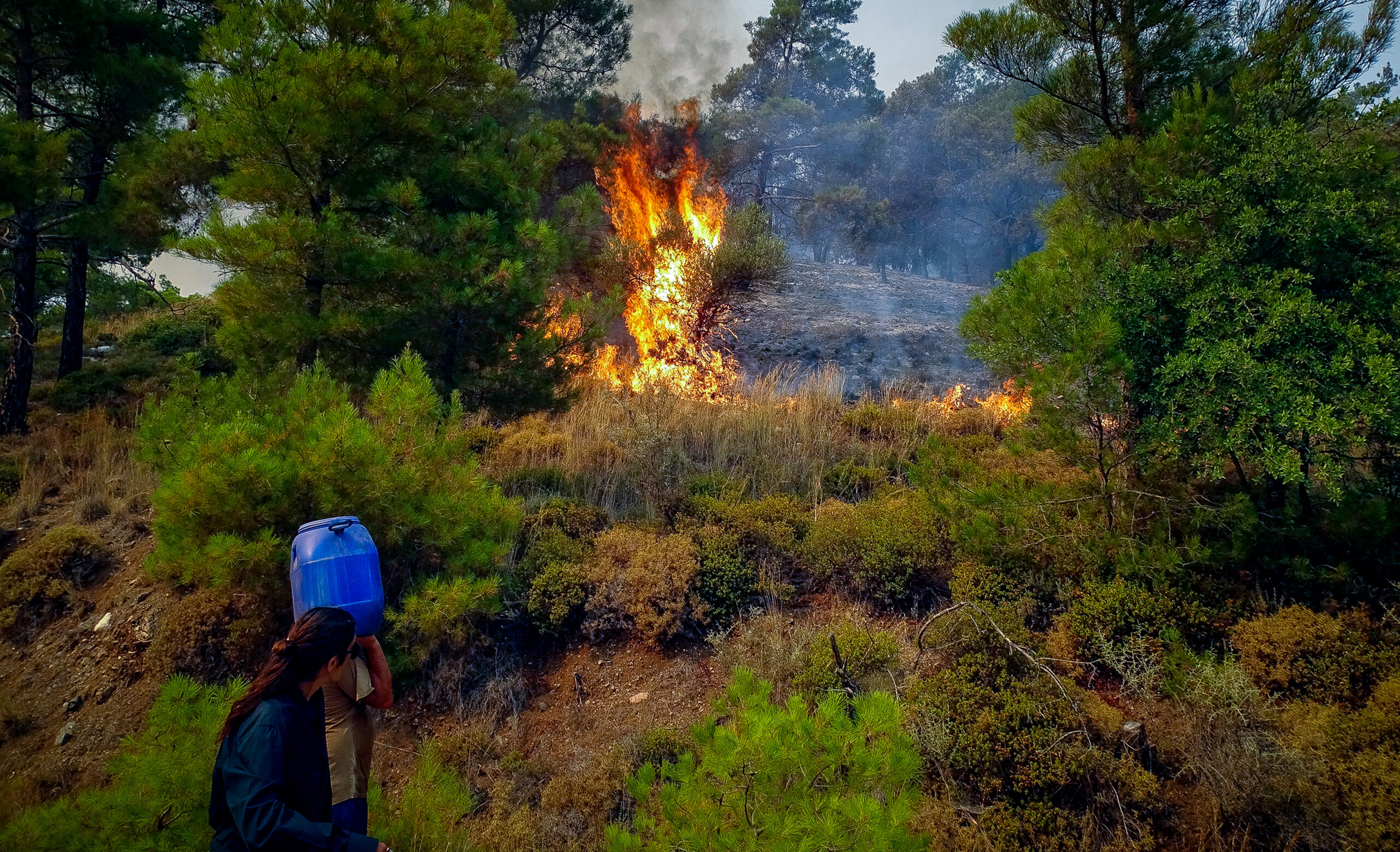 Πολιτική Προστασία: Υψηλός κίνδυνος πυρκαγιάς σε επτά περιοχές αύριο